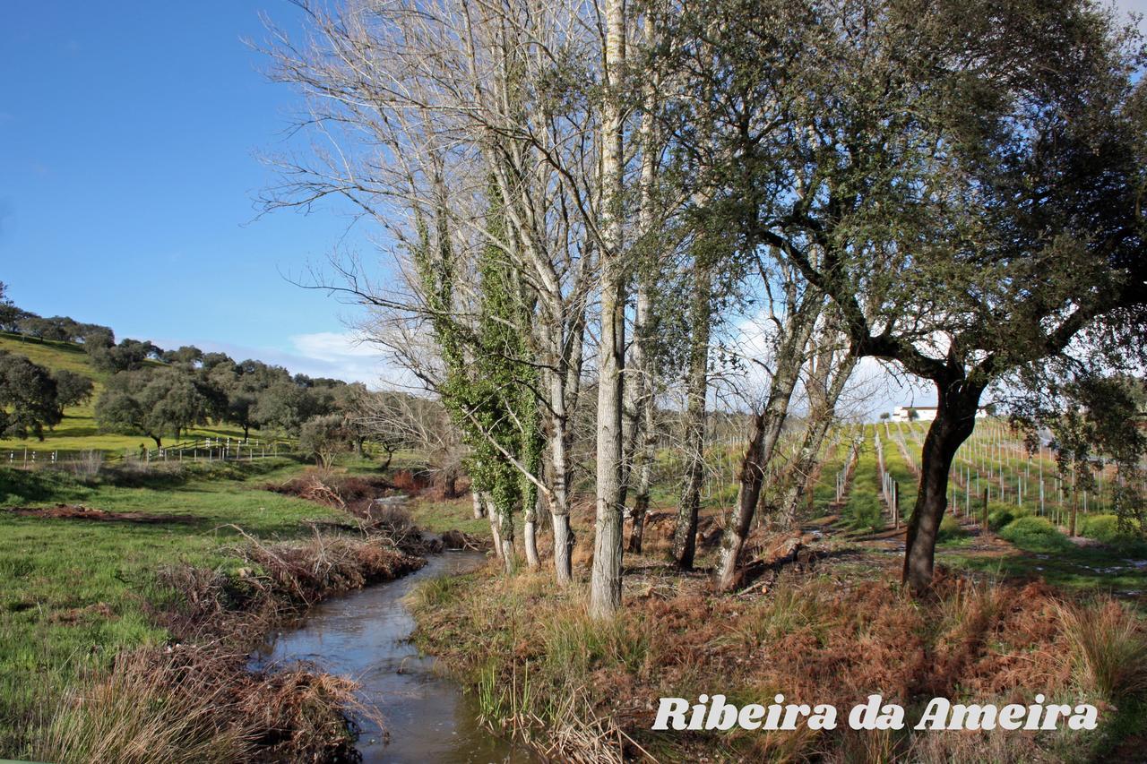 Hotel Rural Da Ameira Montemor-o-Novo Buitenkant foto
